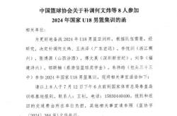爱游戏官网网页版入口-塞尔维亚豪取四连胜，领跑分组积分榜