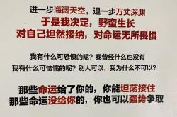 -球队阵容大调整后连胜导演逆袭传奇故事的简单介绍