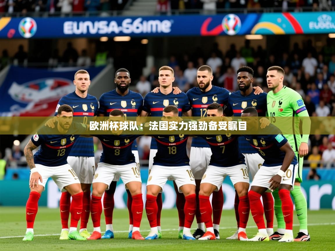 2025爱游戏网页版官方入口欧洲杯球队:法国实力强劲备受瞩目 第4张