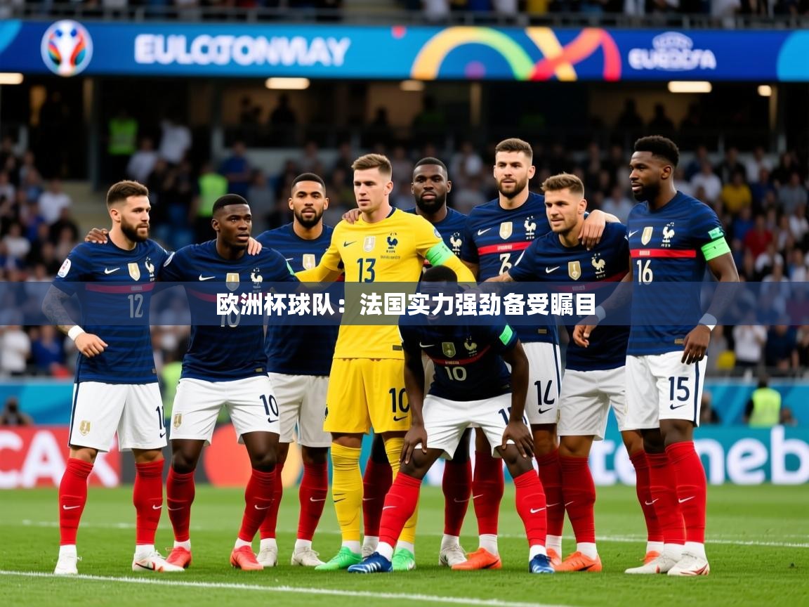 2025爱游戏网页版官方入口欧洲杯球队:法国实力强劲备受瞩目 第3张
