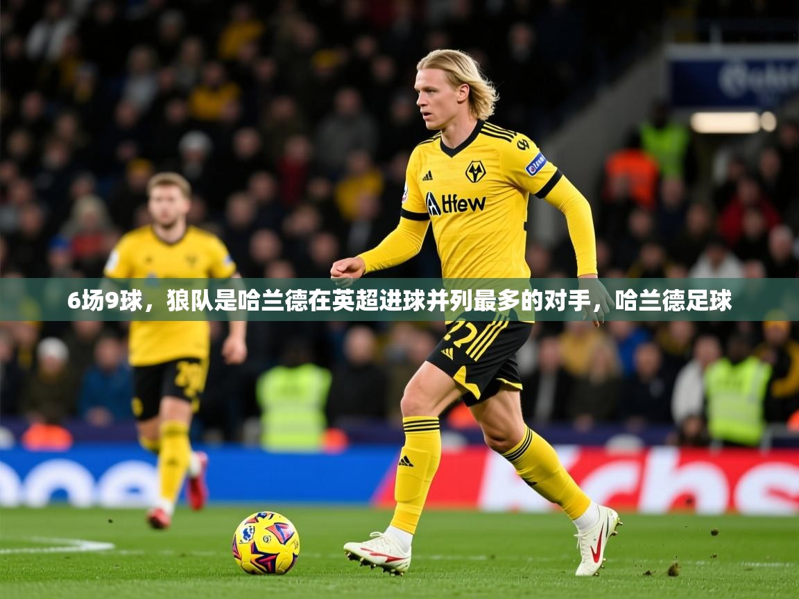 2025爱游戏官网6场9球,狼队是哈兰德在英超进球并列最多的对手,哈兰德足球 第1张