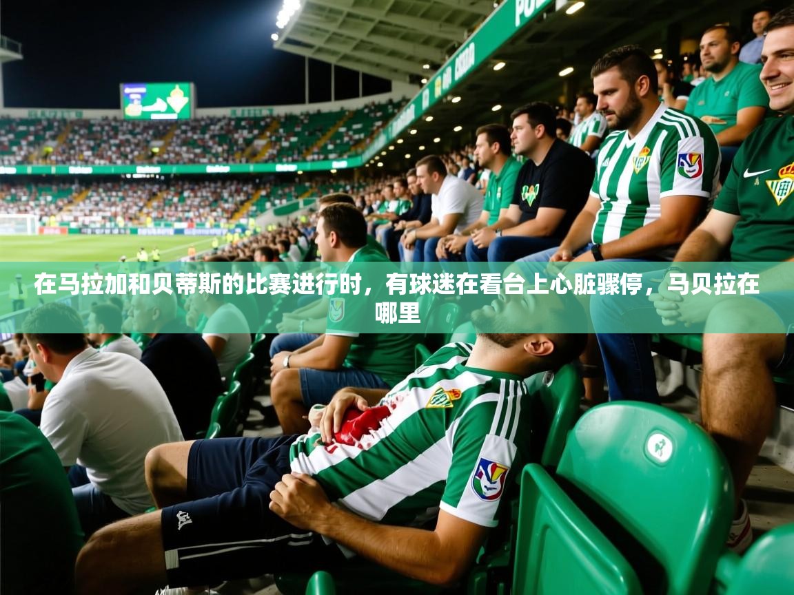 2025爱游戏全站app官网入口在马拉加和贝蒂斯的比赛进行时，有球迷在看台上心脏骤停，马贝拉在哪里  第1张