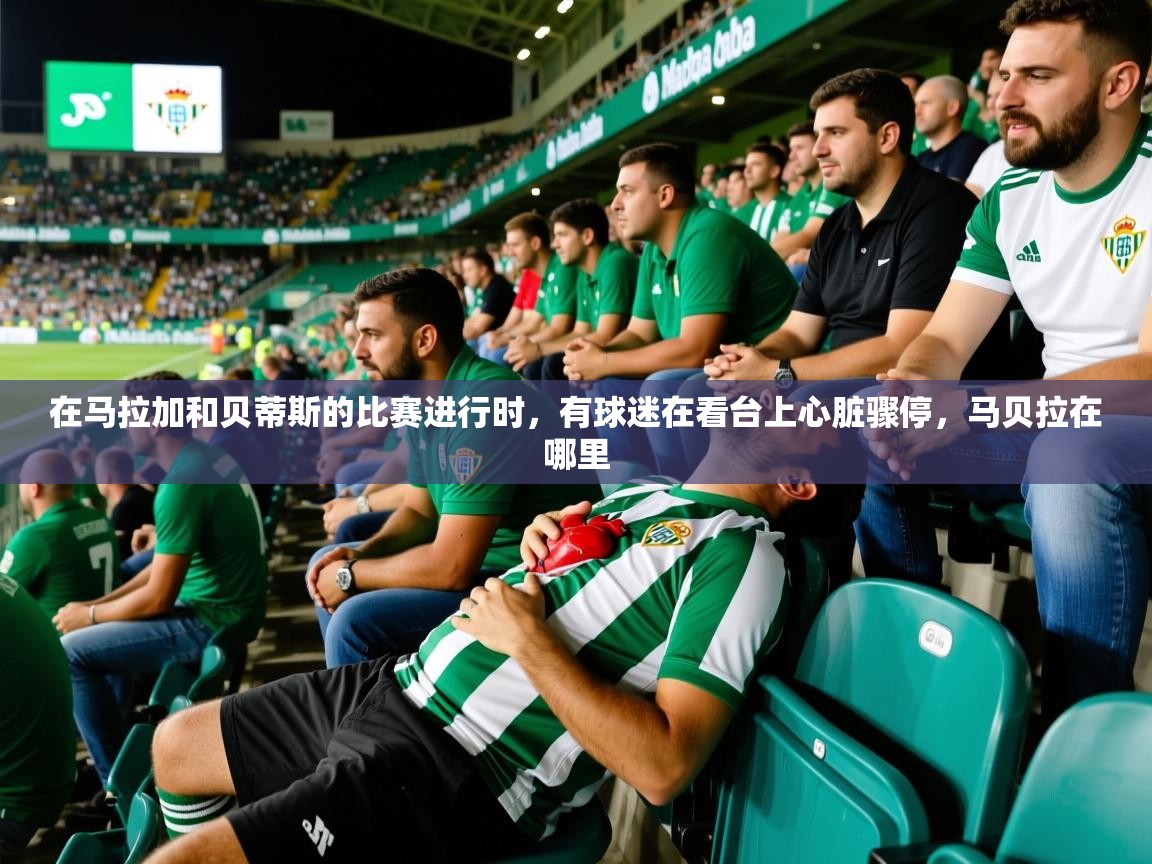 2025爱游戏全站app官网入口在马拉加和贝蒂斯的比赛进行时，有球迷在看台上心脏骤停，马贝拉在哪里  第4张