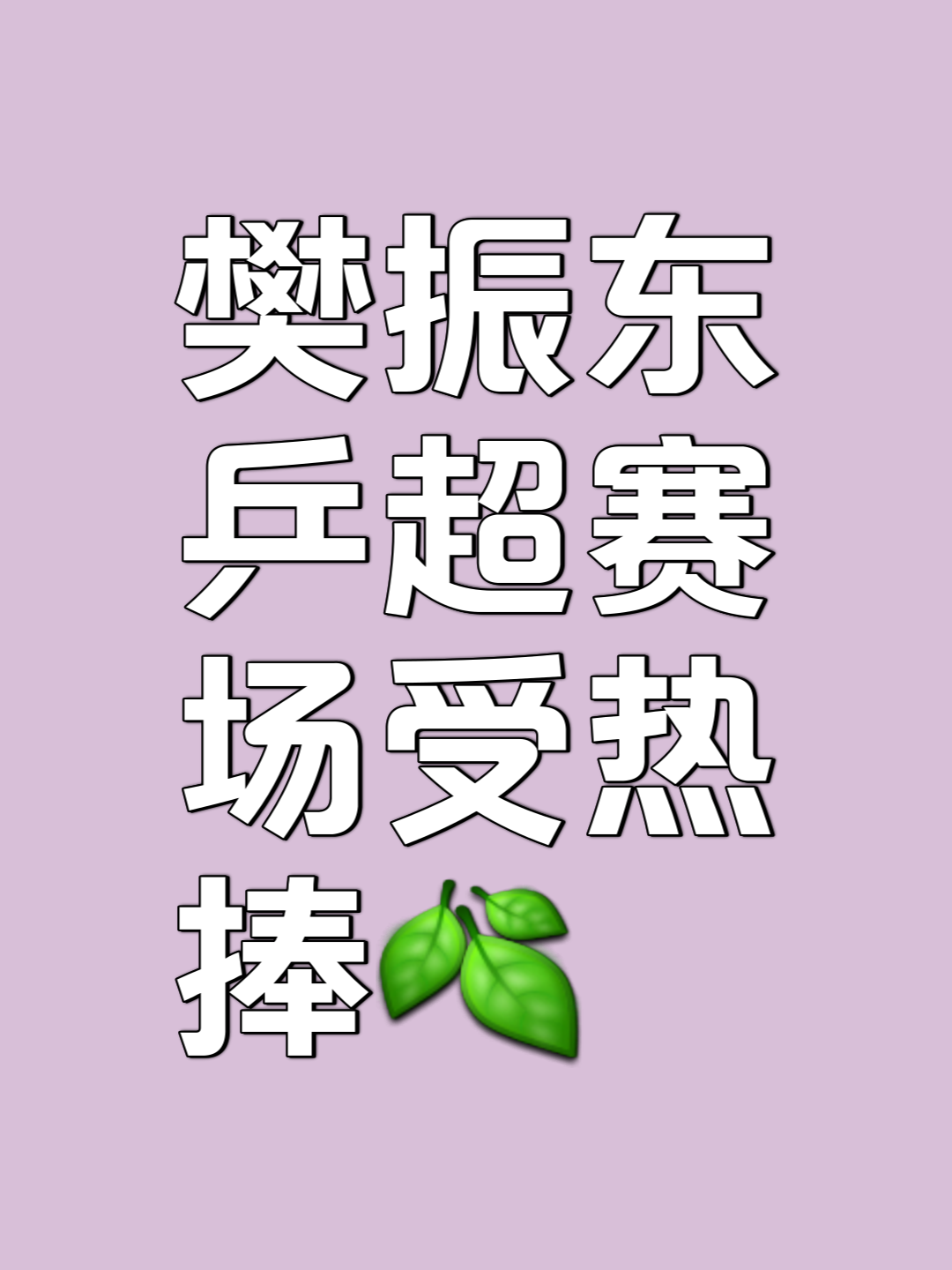 比赛助威声震动全场，球迷狂欢不止的简单介绍