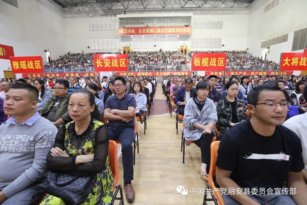 关于浙江队士气高涨备战关键战役的信息